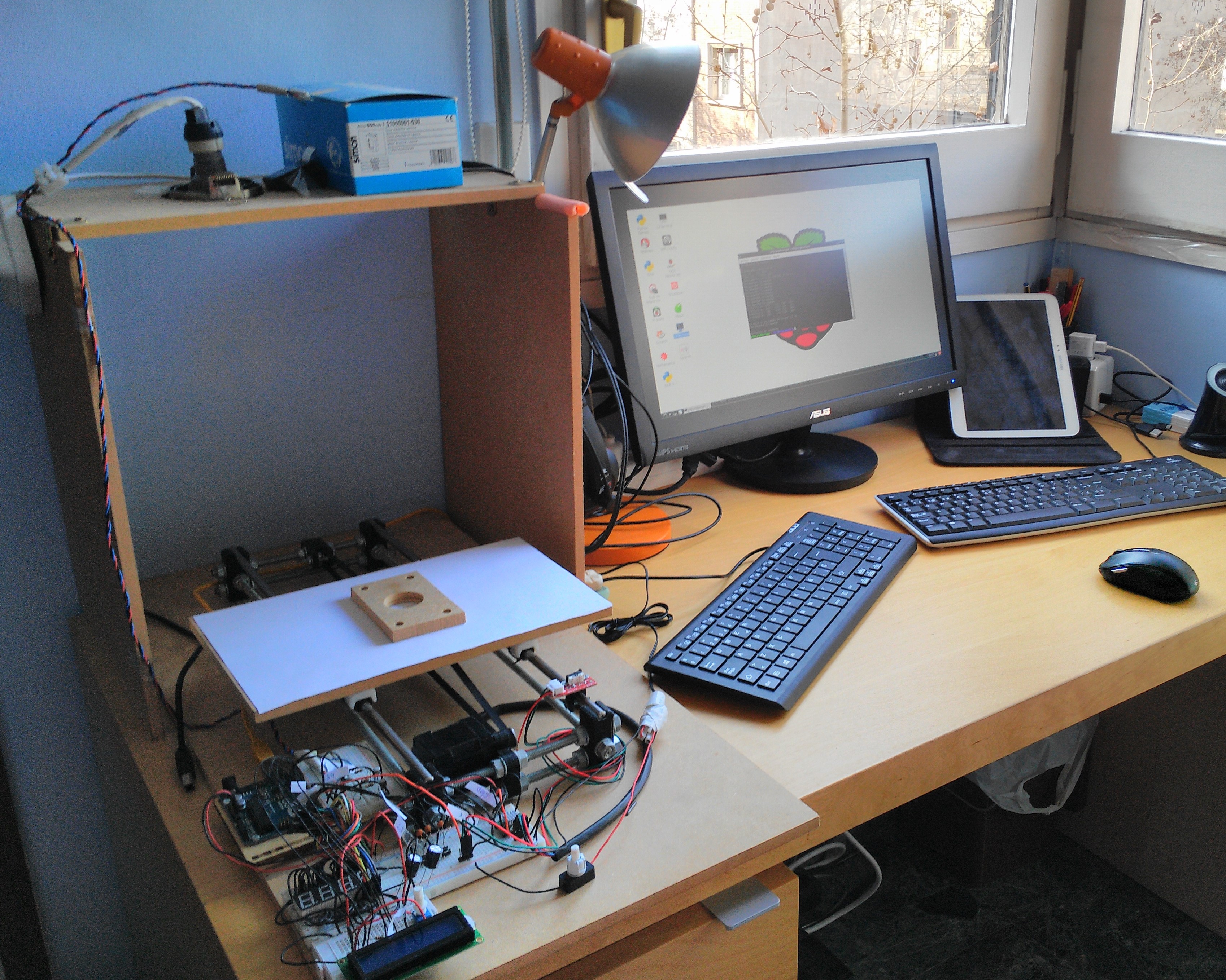 Final Baccalaureate thesis